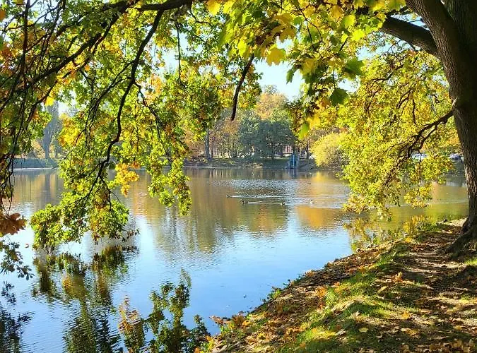 Gold Przy Ksiezym Mlynie - Garaz - Dostep Na Kod - Fv شقة